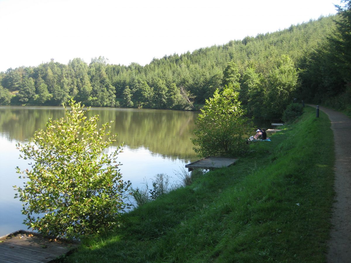 Lac de Neufchâteau – vdna.be