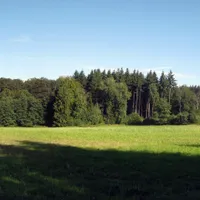 Uit het bos aan de rand van Rossignol