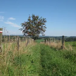 Start afdaling richting Neufchâteau