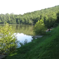 Lac de Neufchâteau