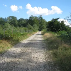Afdaling met keien richting Poix Saint-Hubert
