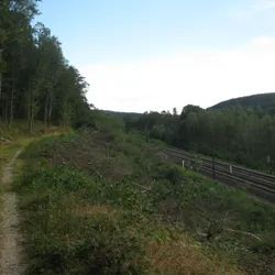 Hier loopt de GR151 evenwijdig met de sporen.