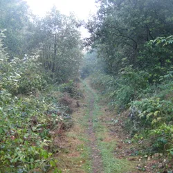 Langs de spoorweg