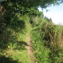 Weiderand ten zuiden van Masbourg
