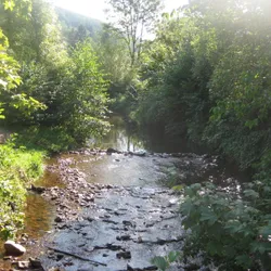 Het beekje in Masbourg dorp