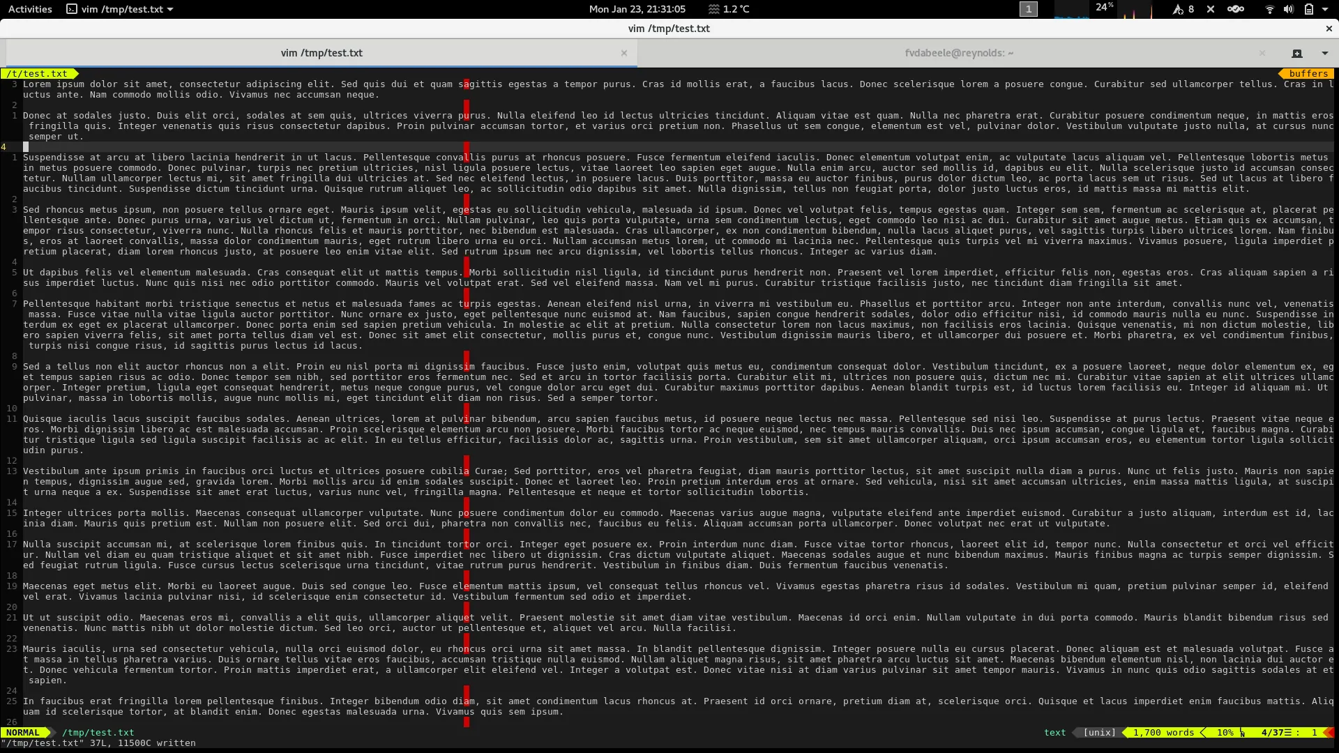 Fullscreen Vim before the patch