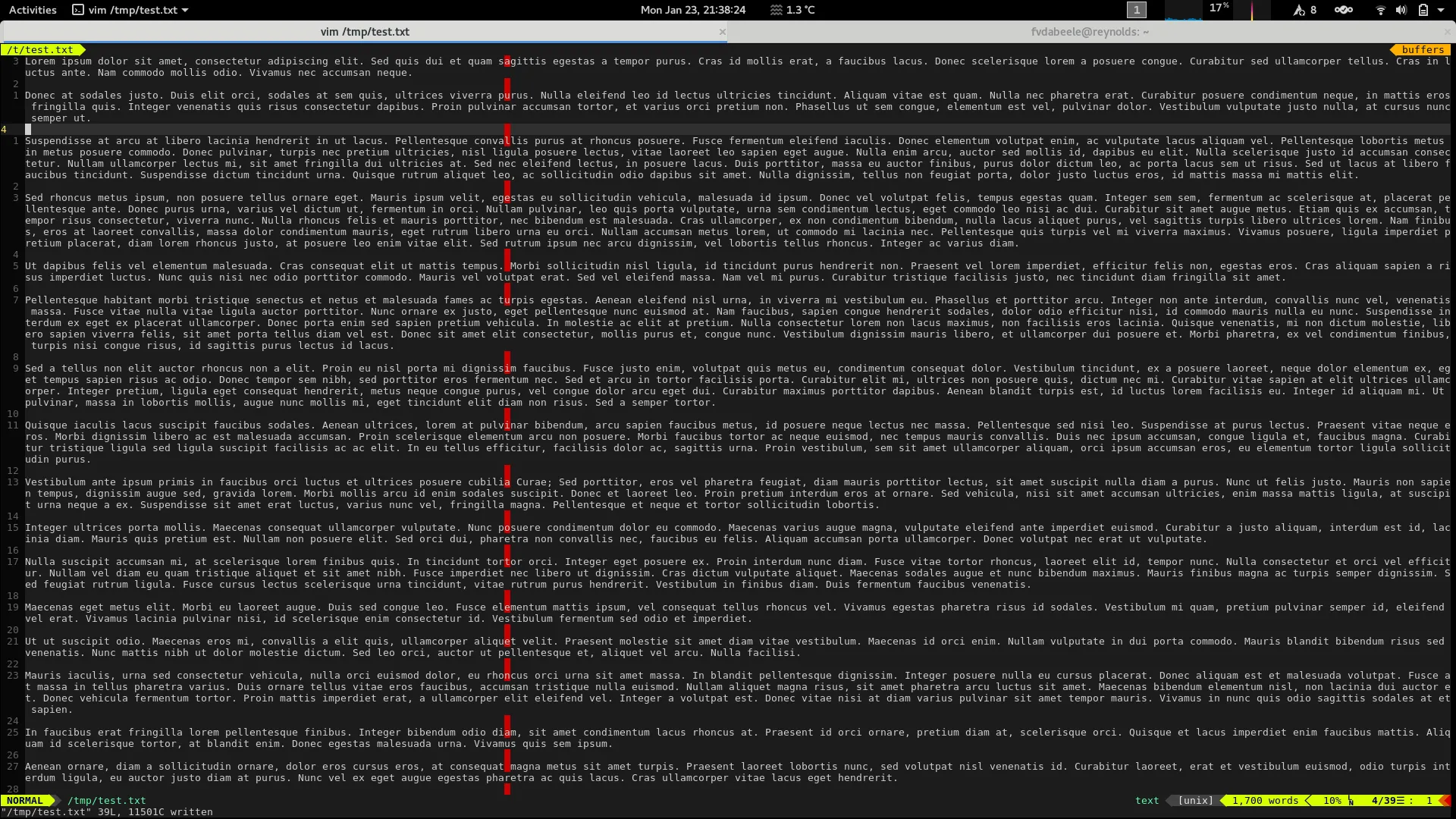 Fullscreen Vim after the patch