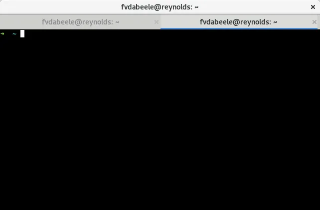 Gnome Terminal after the patch