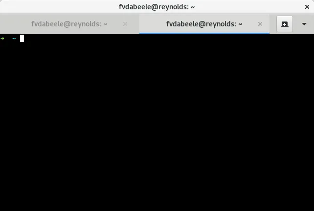 Gnome Terminal before the patch
